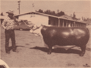 Screen Shot 2018-12-16 at 11.28.12 PM