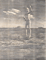 Screen Shot 2019-03-20 at 2.02.12 PM