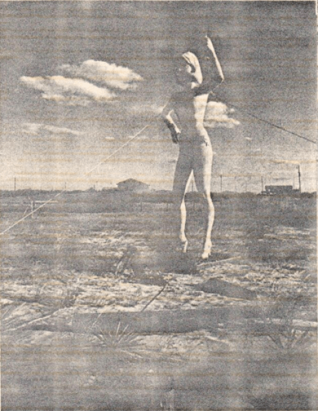 Screen Shot 2019-03-20 at 2.02.12 PM